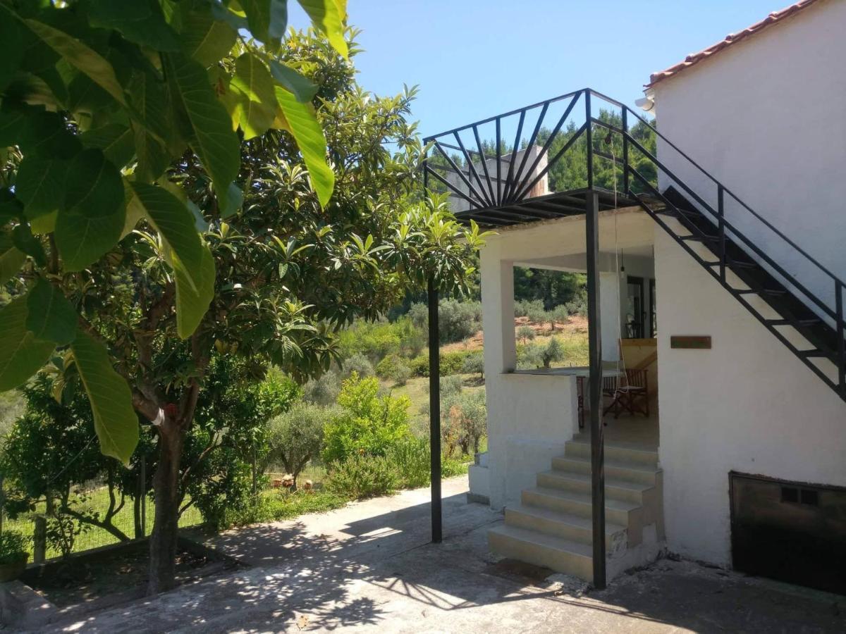 Wildherb House Agriovotano Esterno foto
